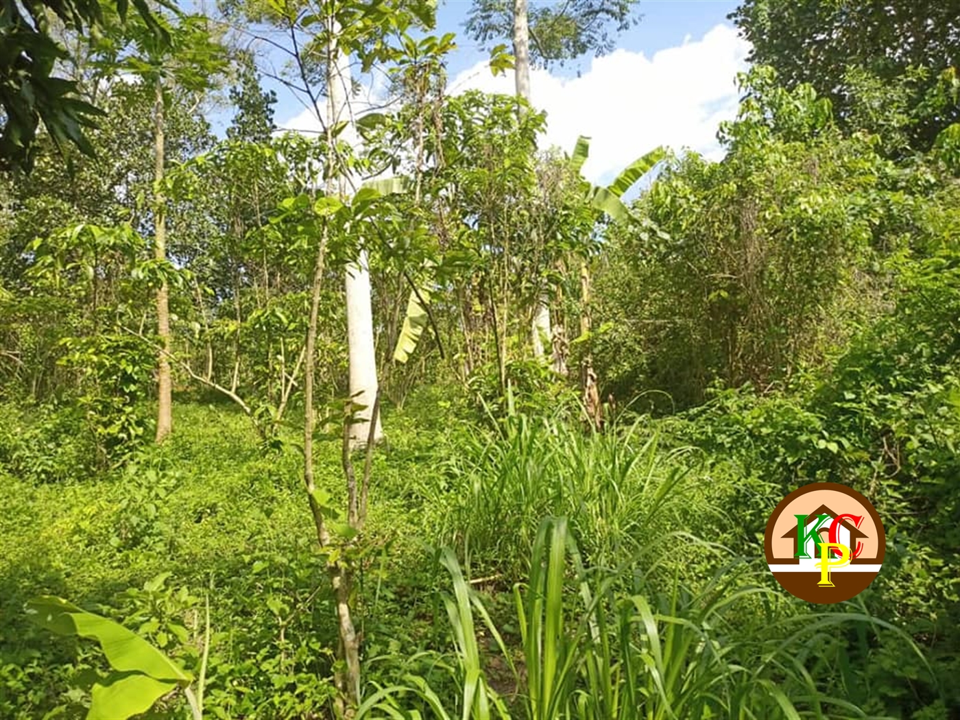 Residential Land for sale in Matugga Wakiso