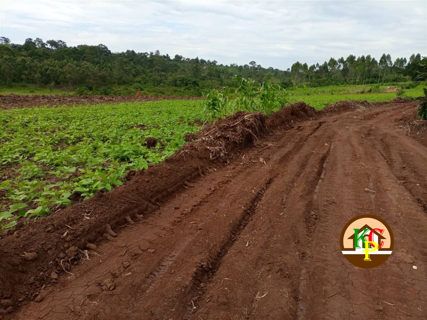 Agricultural Land for sale in Katogo Mukono