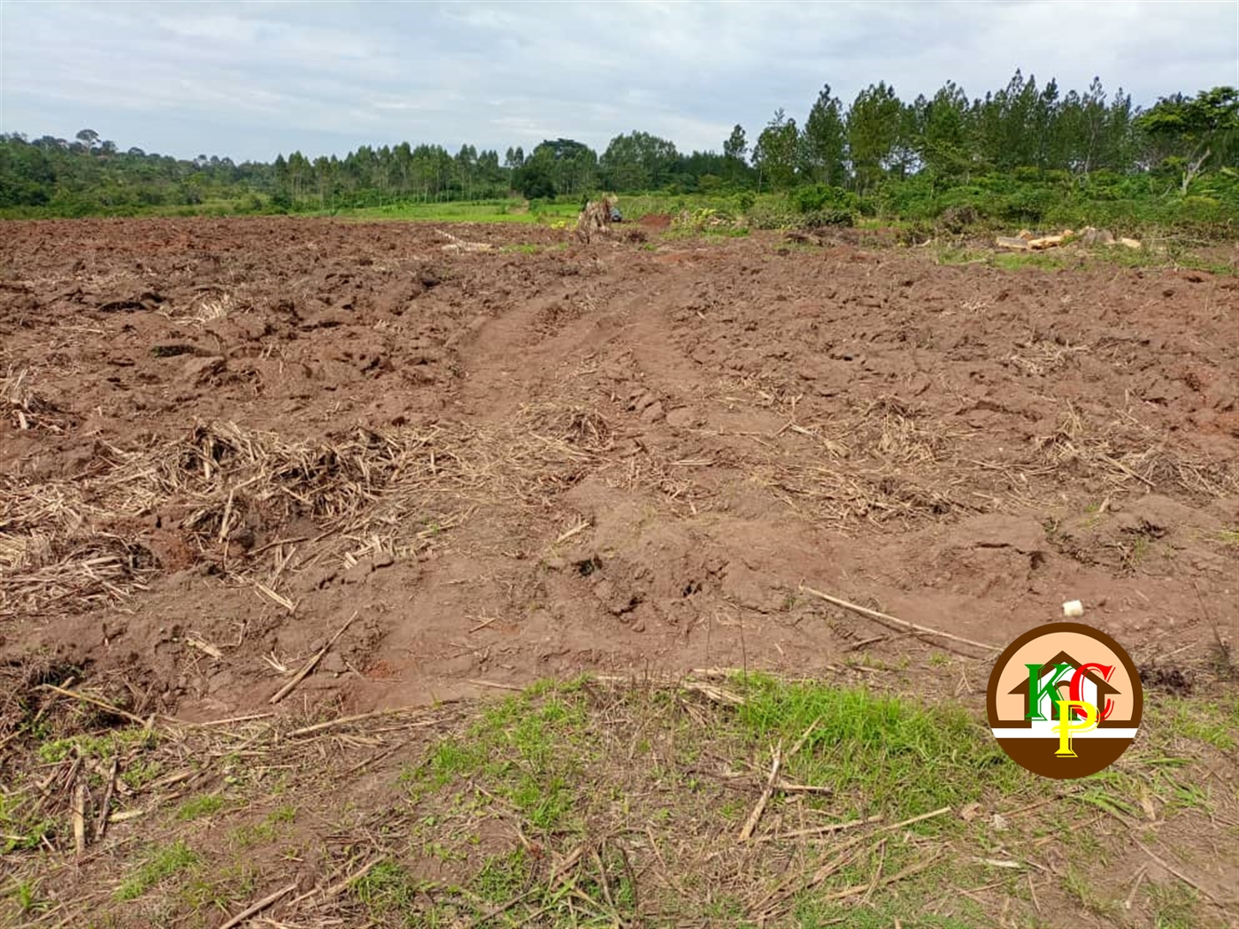 Agricultural Land for sale in Katogo Mukono