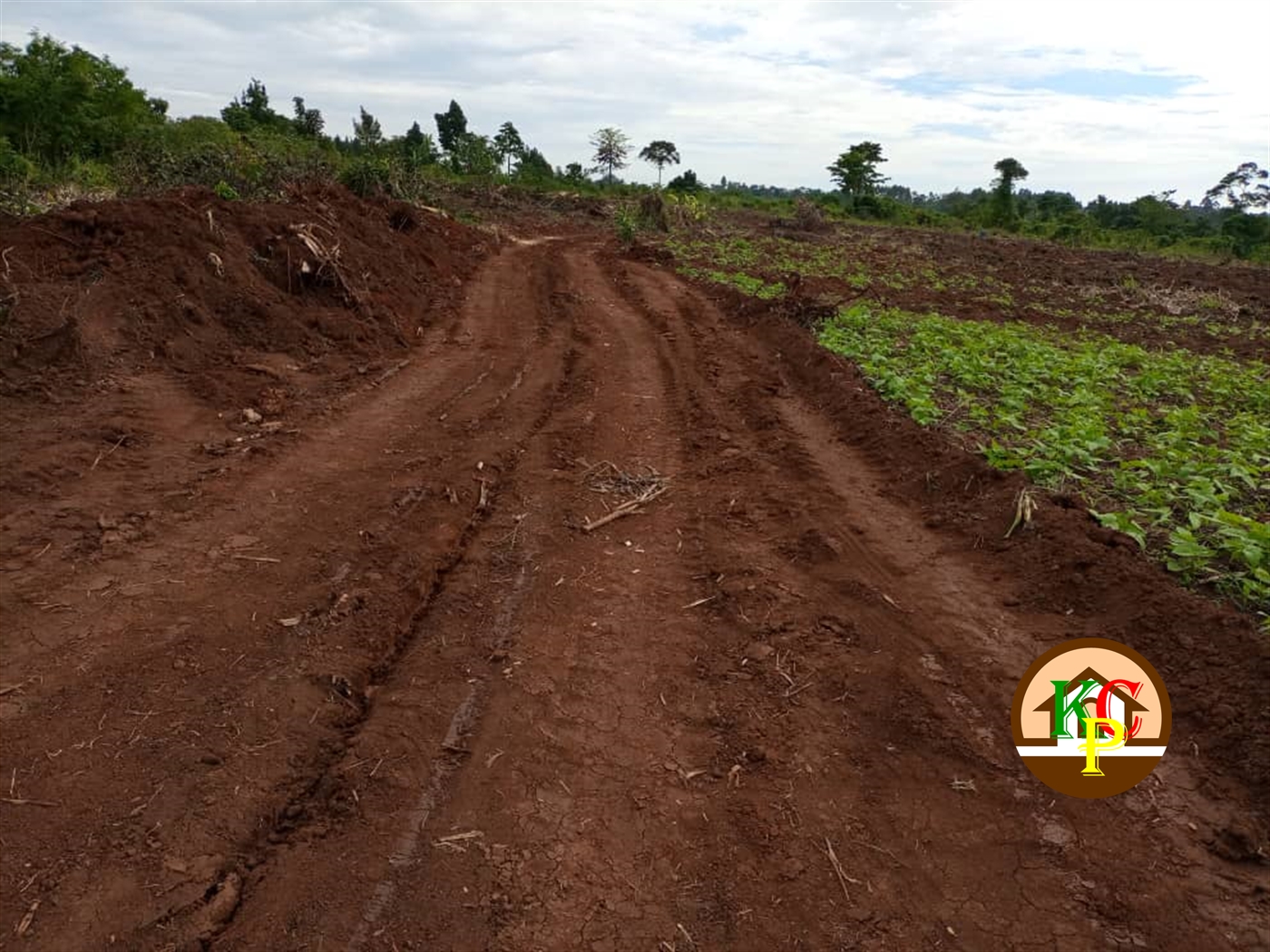 Agricultural Land for sale in Katogo Mukono