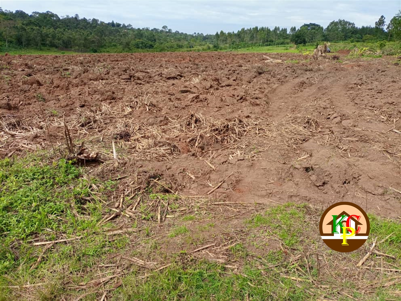 Agricultural Land for sale in Katogo Mukono
