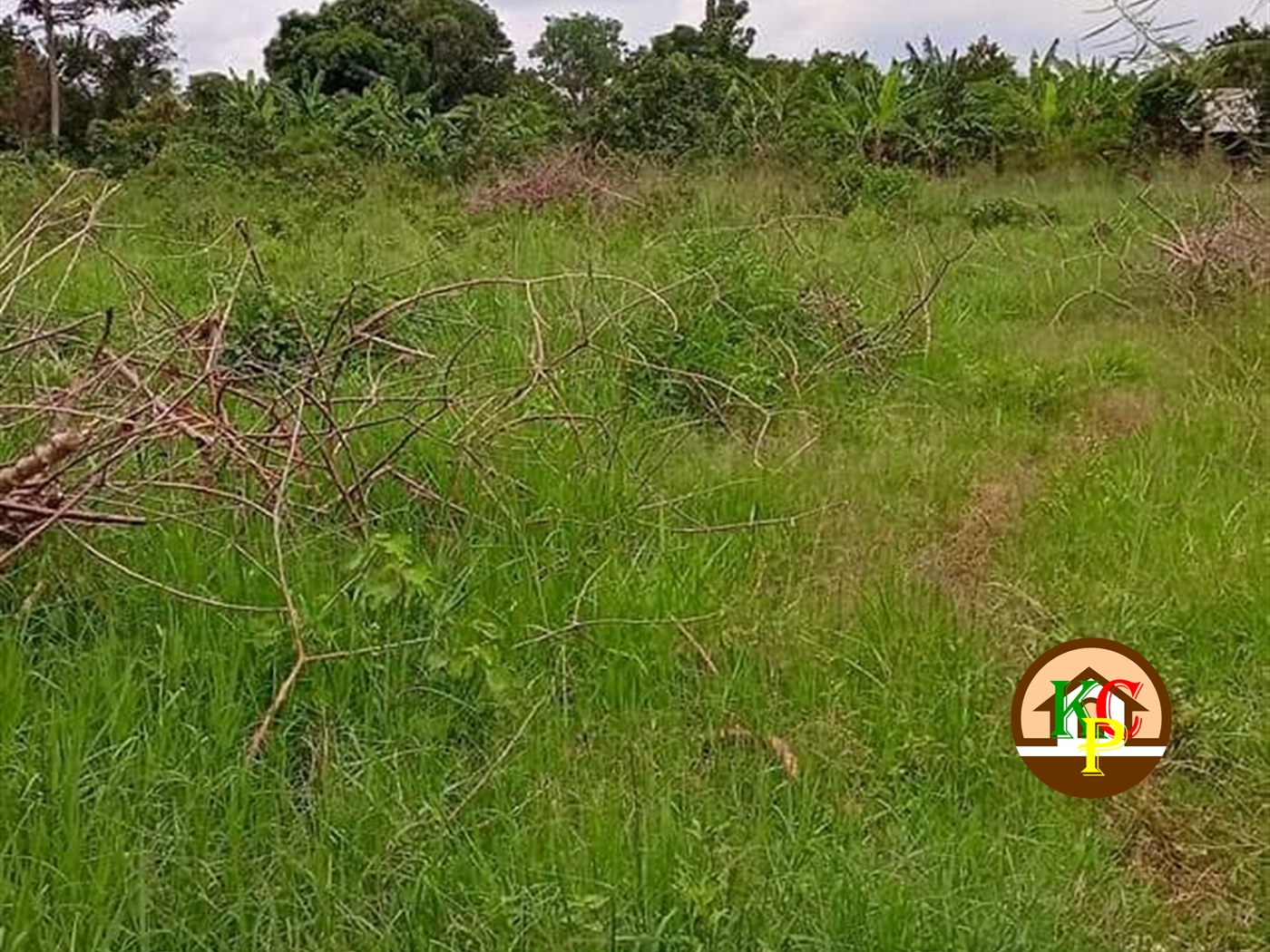 Agricultural Land for sale in Bandwe Mukono