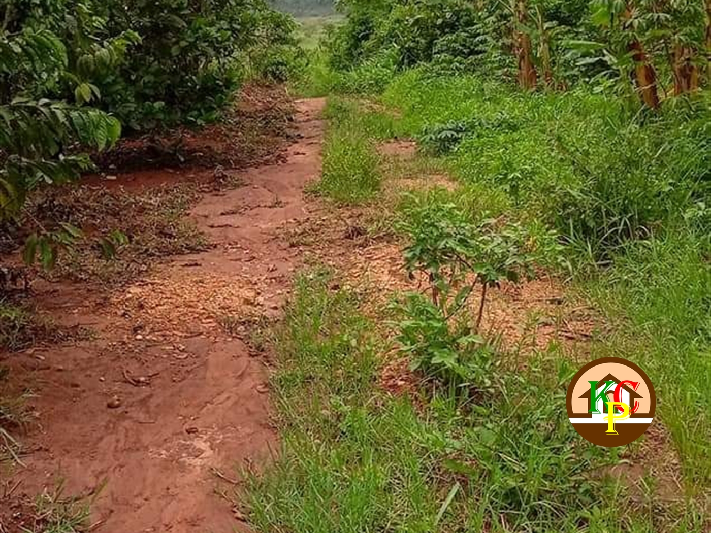 Agricultural Land for sale in Bandwe Mukono