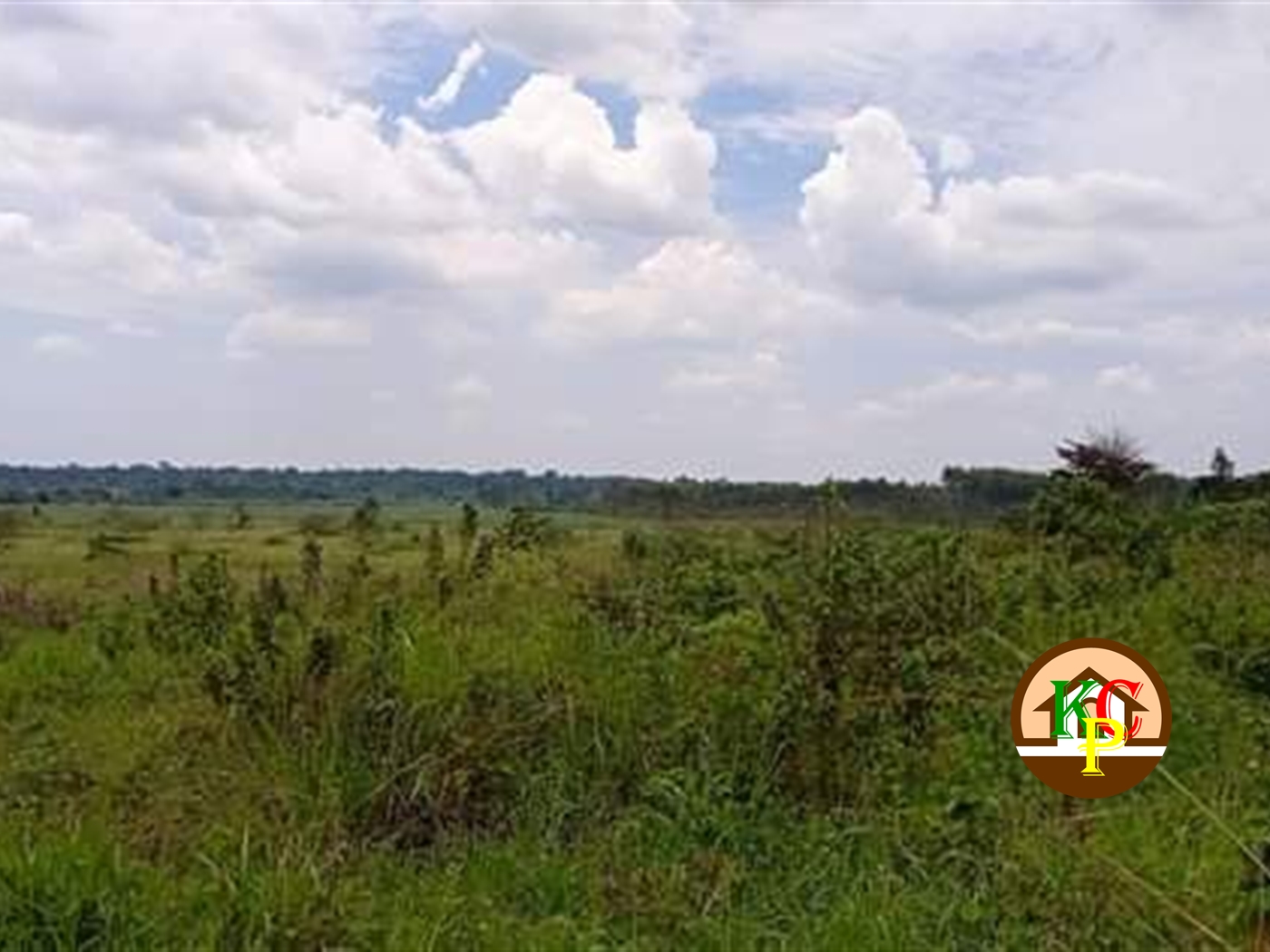 Agricultural Land for sale in Bandwe Mukono