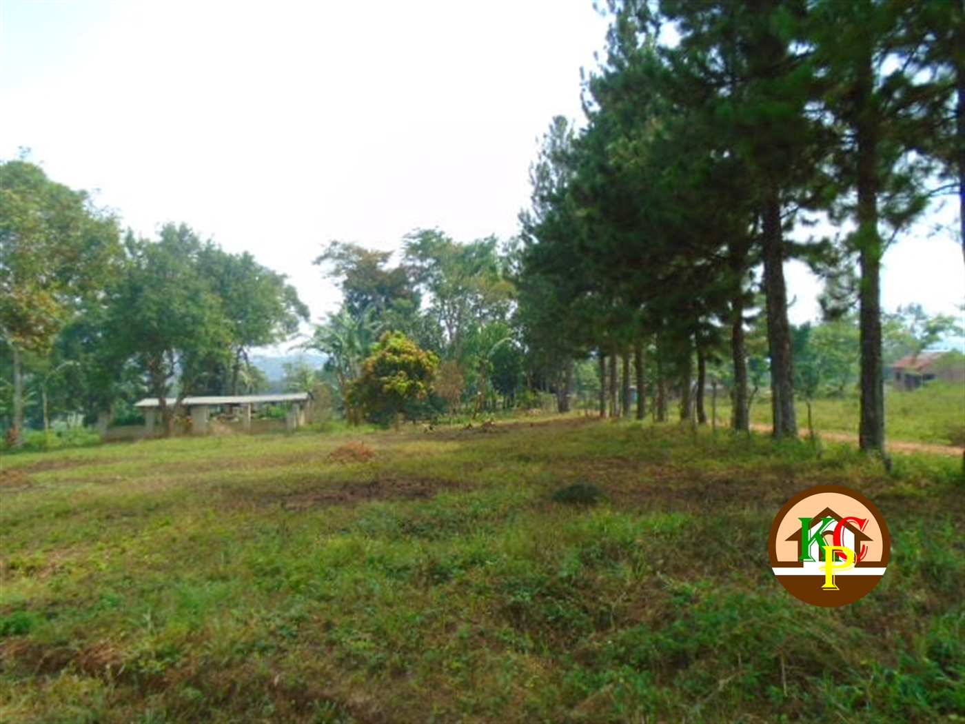 Residential Land for sale in Sonde Mukono