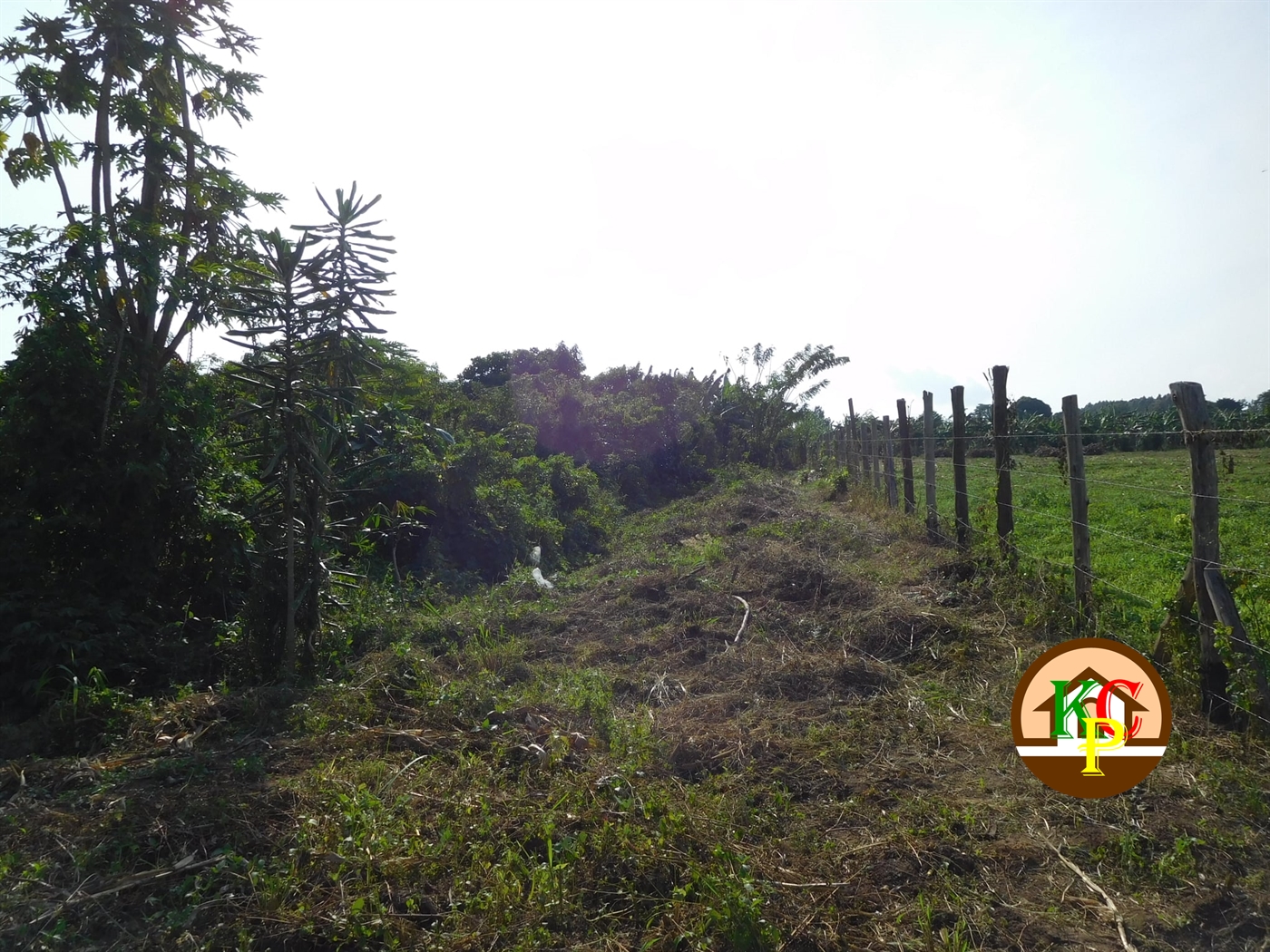 Agricultural Land for sale in Bujuuko Wakiso