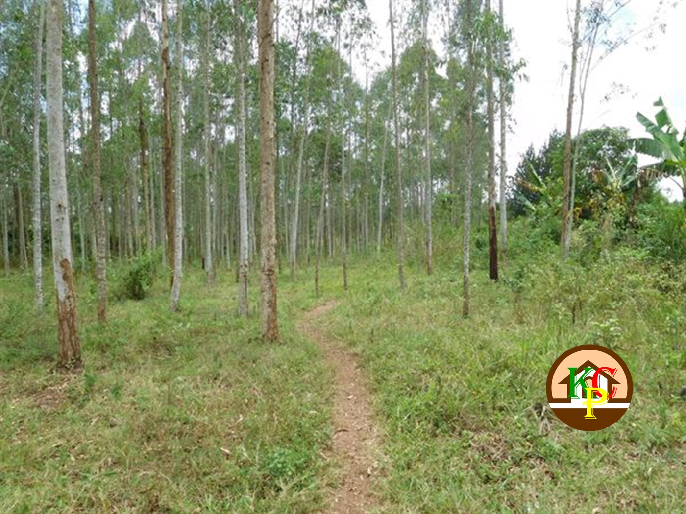 Agricultural Land for sale in Busiika Luweero