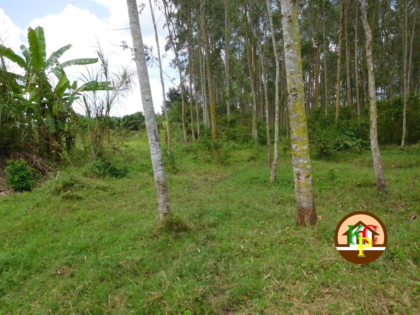 Agricultural Land for sale in Busiika Luweero