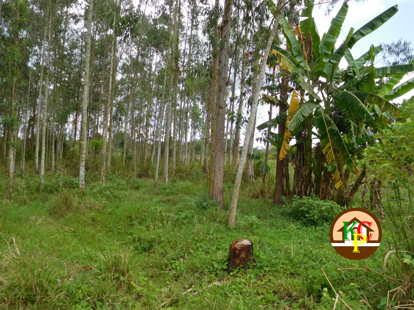 Agricultural Land for sale in Busiika Luweero