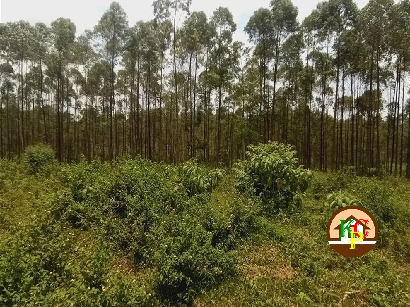 Residential Land for sale in Gayaza Wakiso