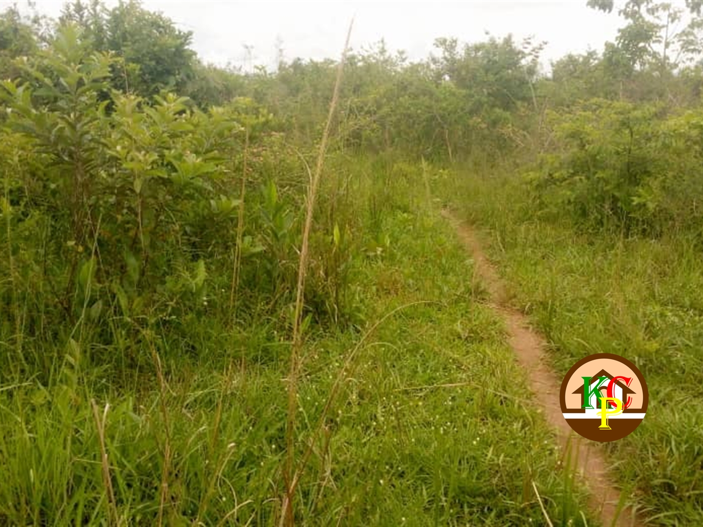 Agricultural Land for sale in Ziloobwe Luweero