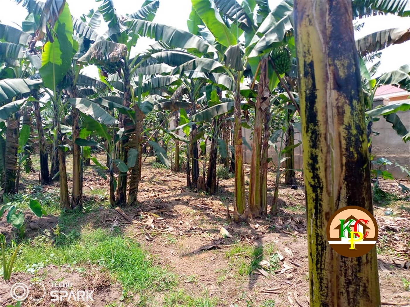 Residential Land for sale in Kira Wakiso