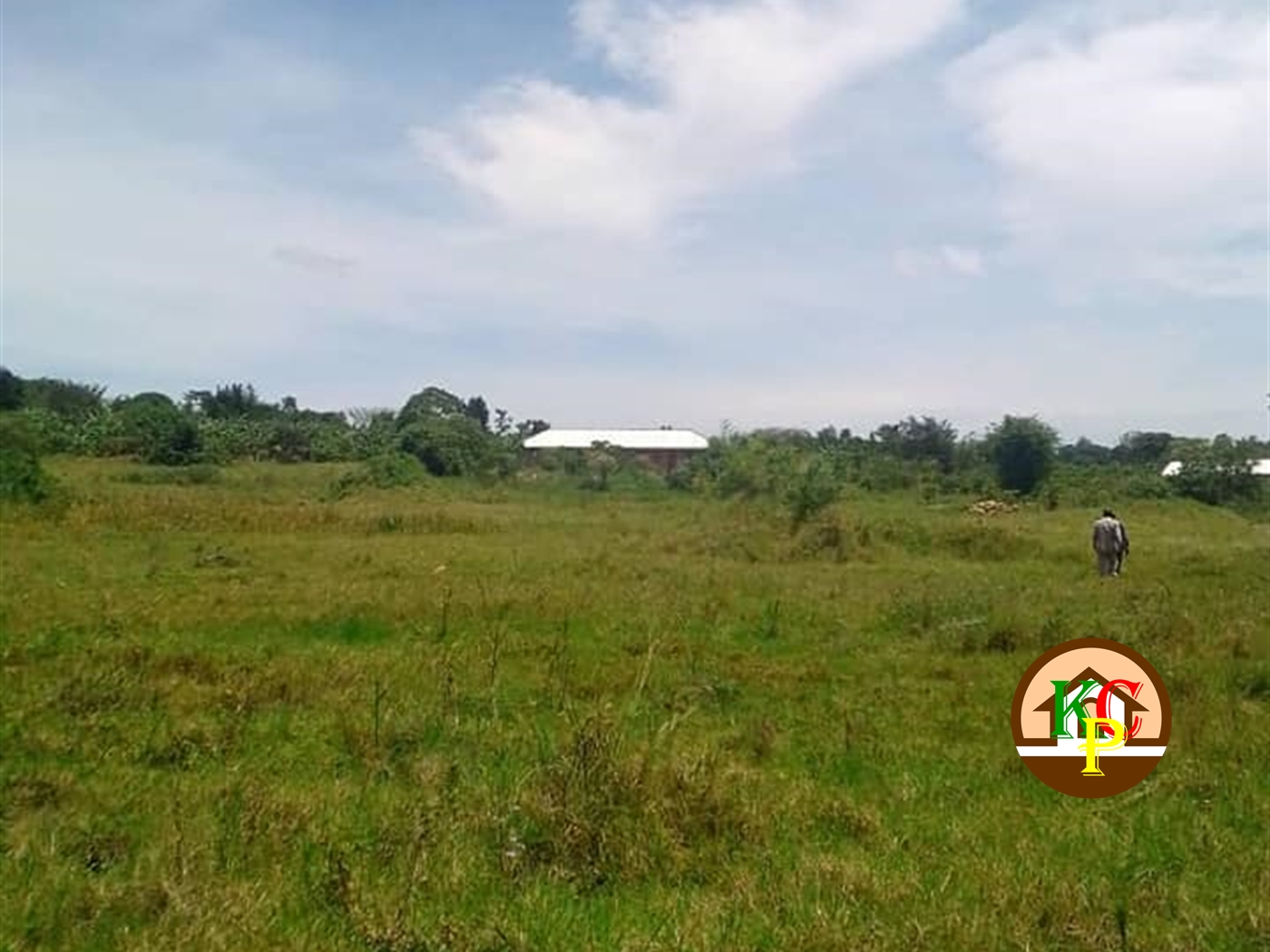 Agricultural Land for sale in Myanzi Mityana