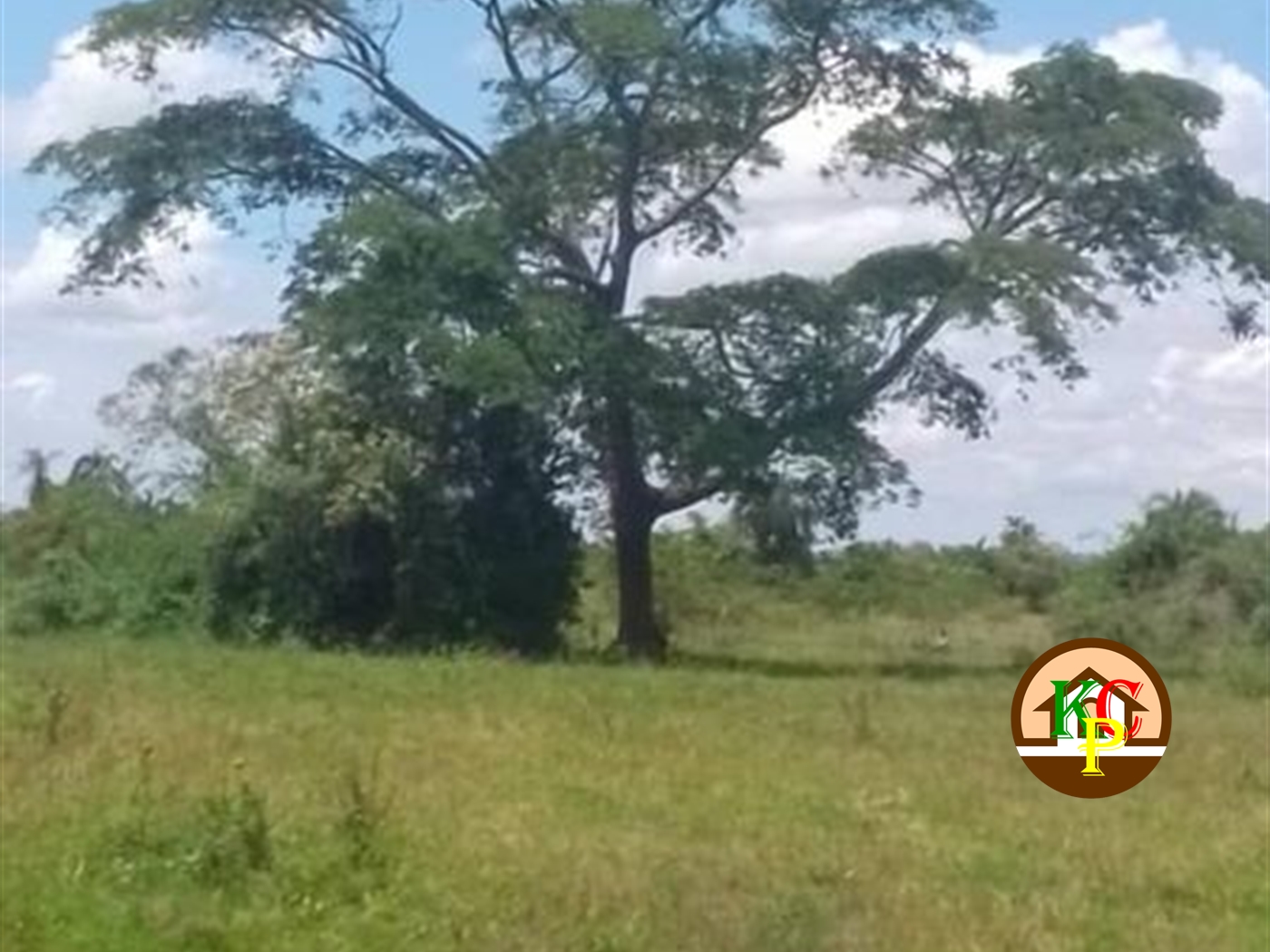 Agricultural Land for sale in Myanzi Mityana