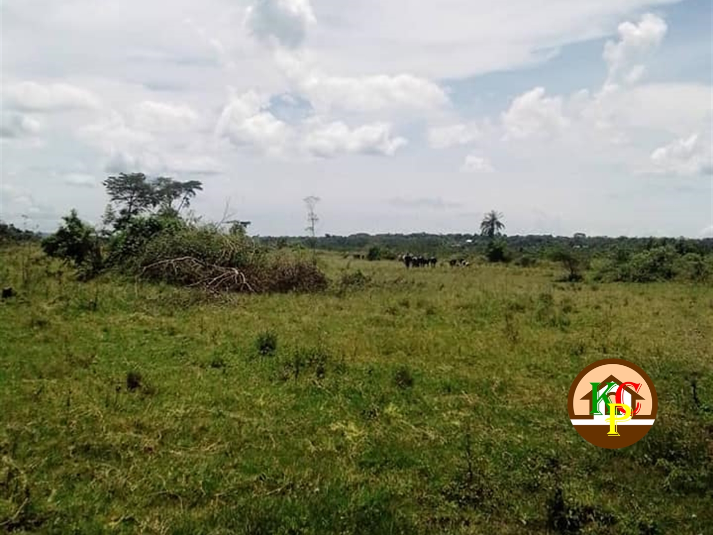 Agricultural Land for sale in Myanzi Mityana