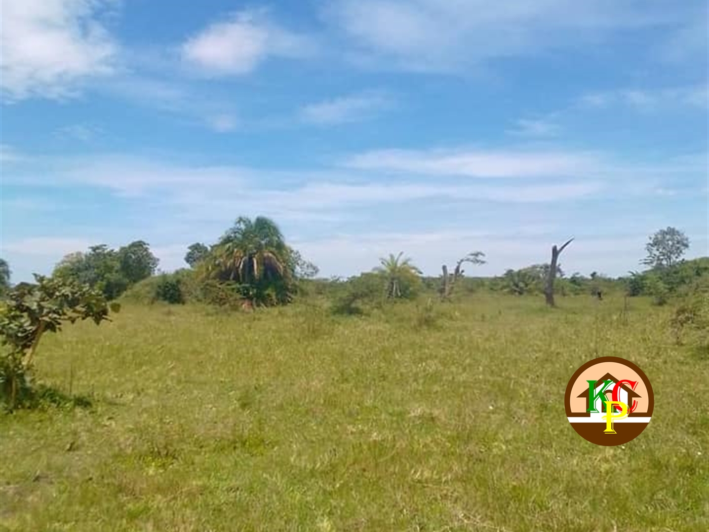 Agricultural Land for sale in Myanzi Mityana