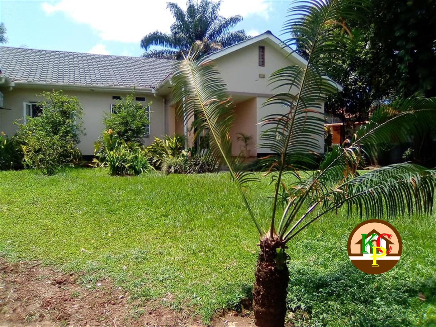 Bungalow for rent in Bugoloobi Kampala