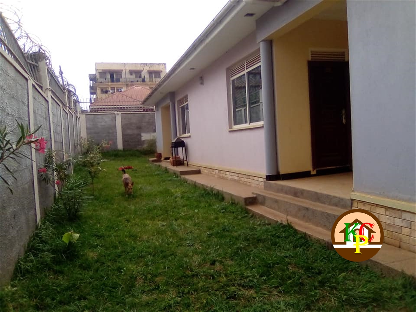 Bungalow for rent in Bukoto Kampala