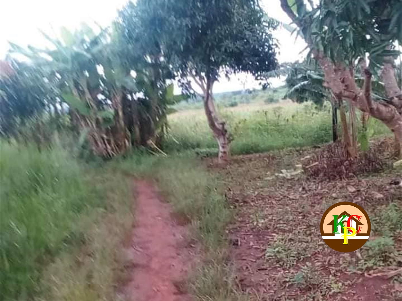 Land for sale in Wobulenzi Wakiso Uganda, code 94669, 16/03/2024