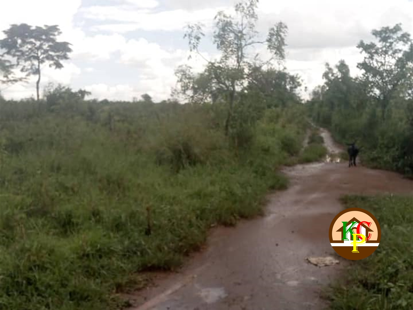 Residential Land for sale in Bugerere Kayunga