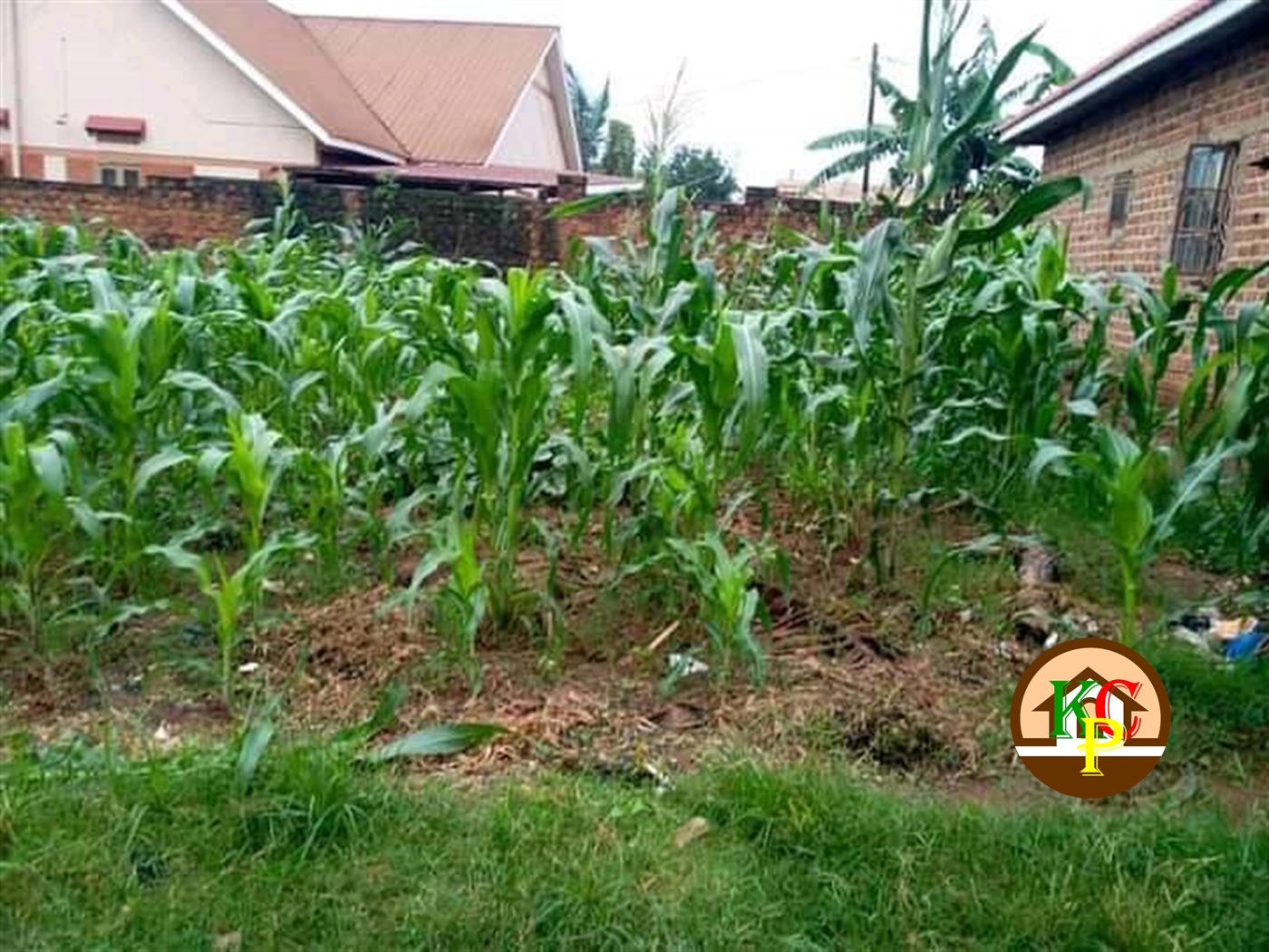 Residential Land for sale in Kyaliwajjala Wakiso