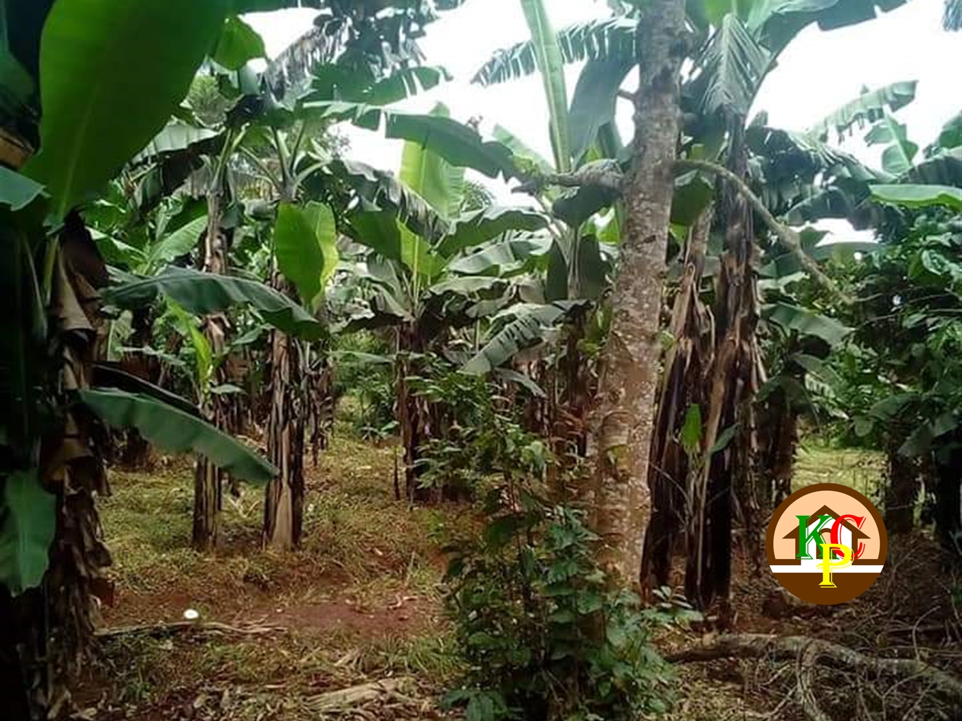 Residential Land for sale in Kasanjje Wakiso