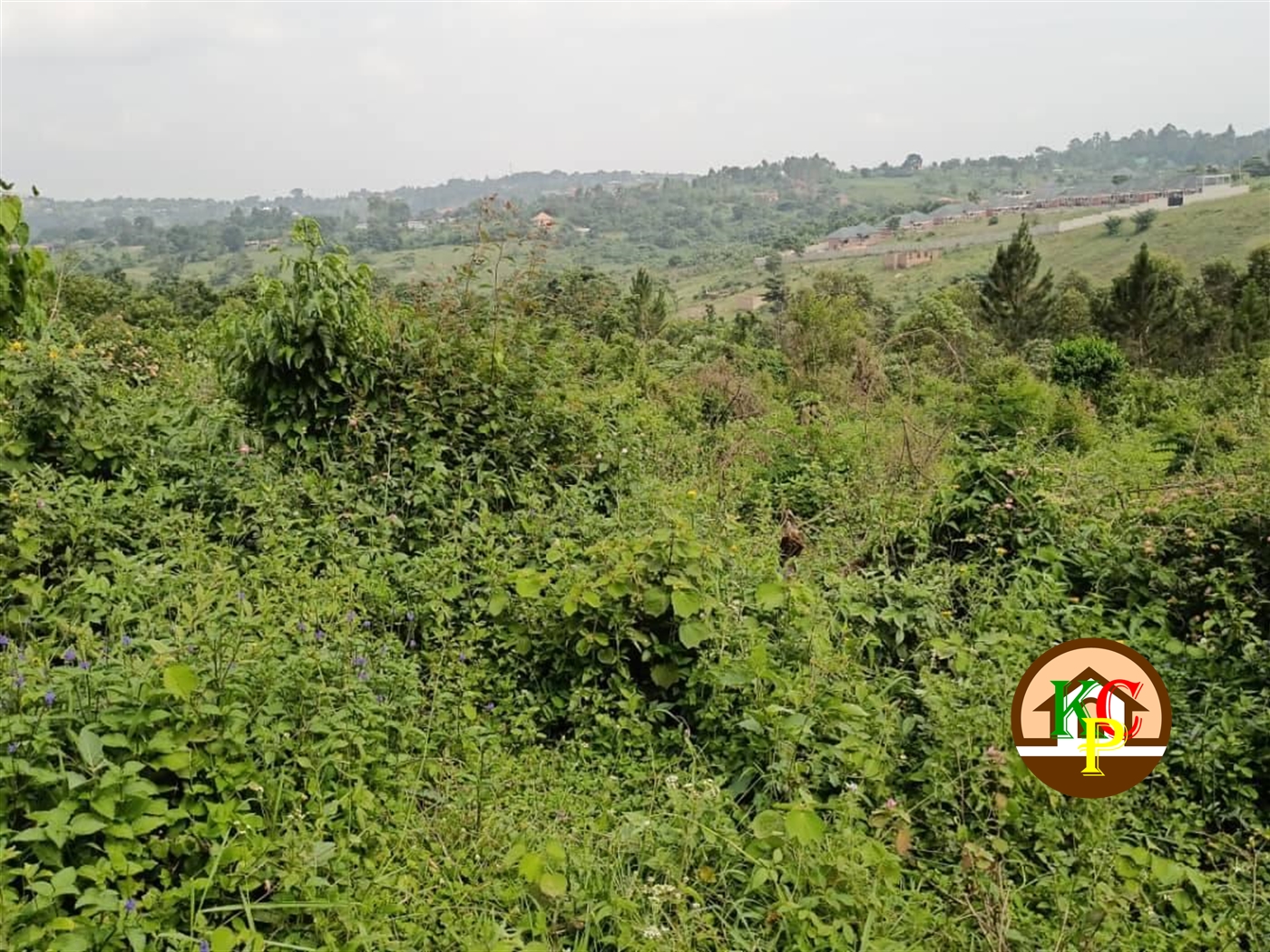 Residential Land for sale in Matugga Kampala