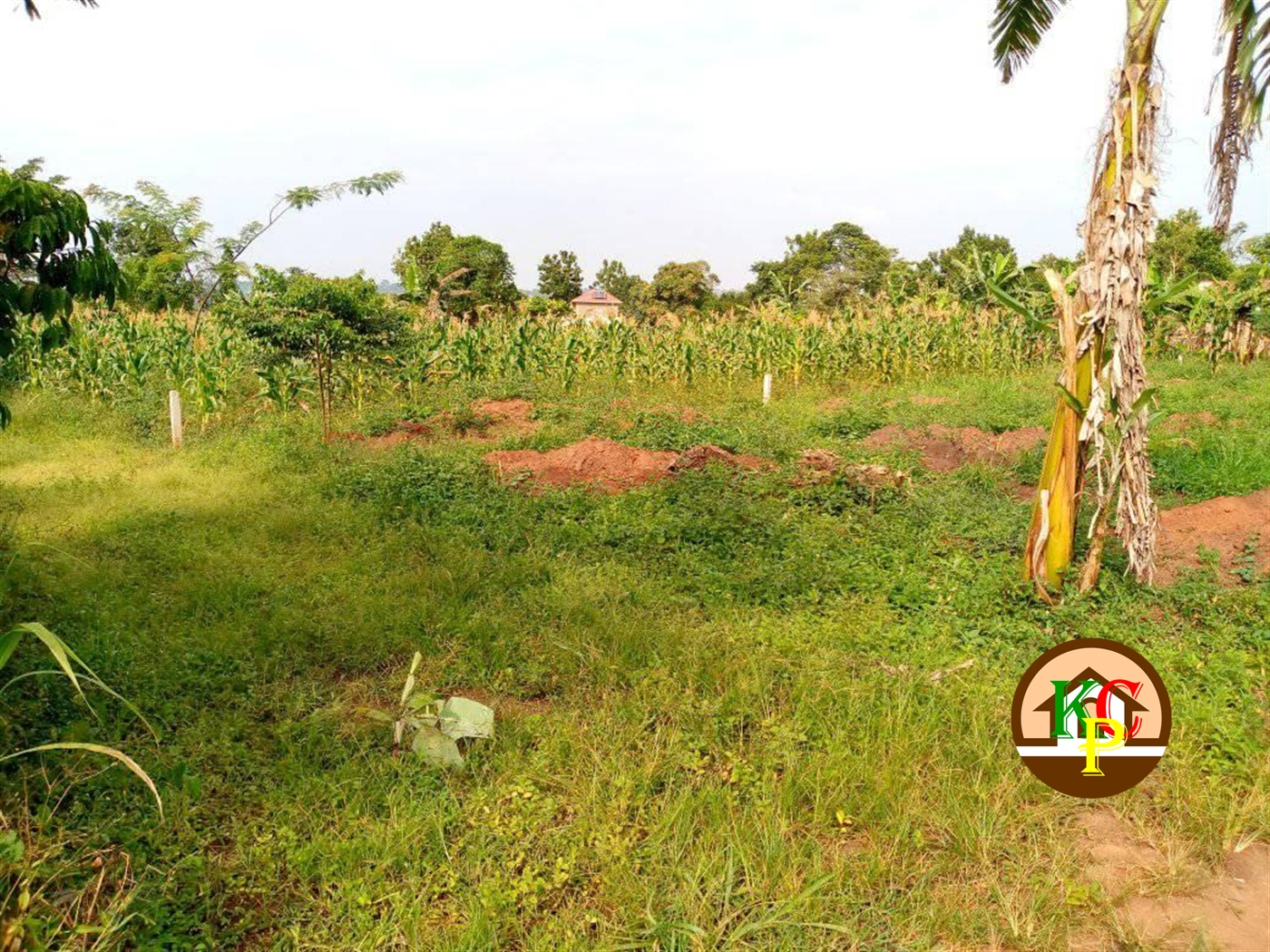 Residential Land for sale in Bukeelele Mukono