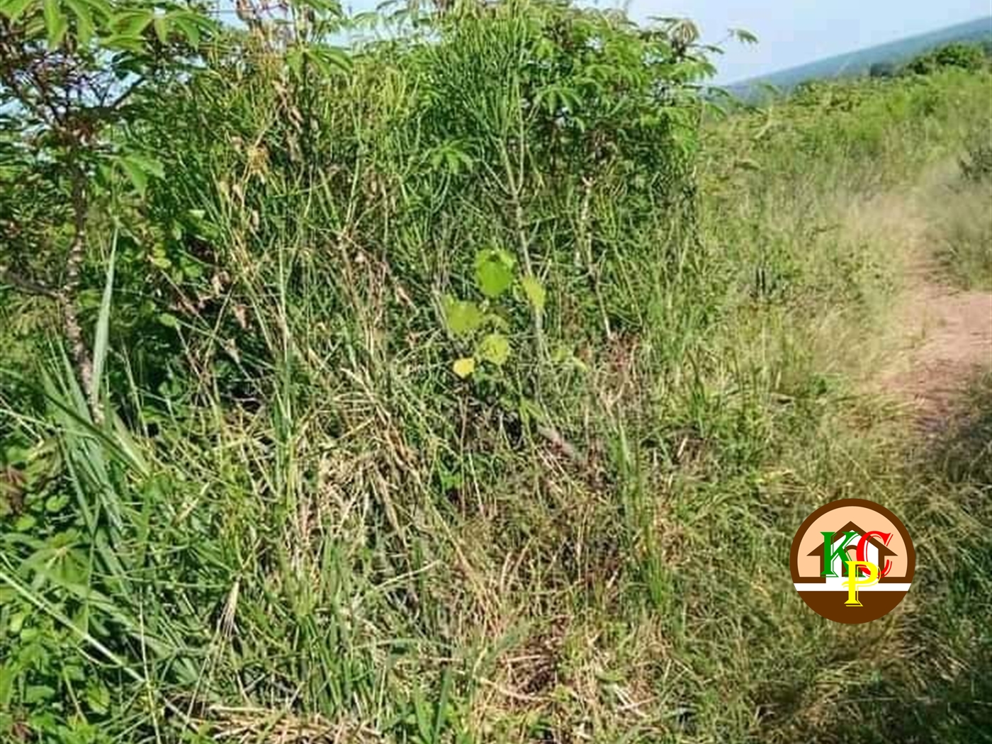 Residential Land for sale in Saasira Nakasongola