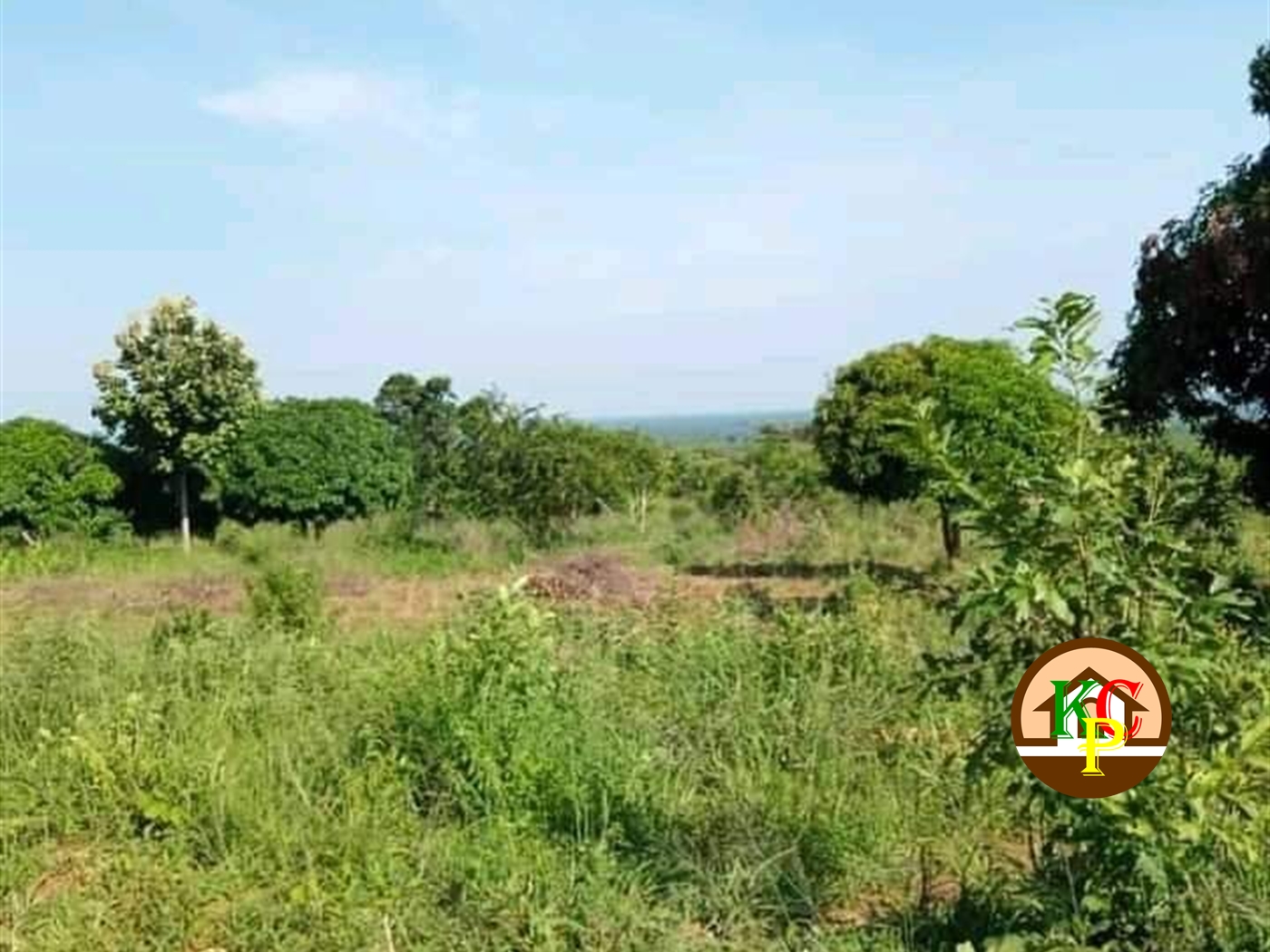 Residential Land for sale in Saasira Nakasongola
