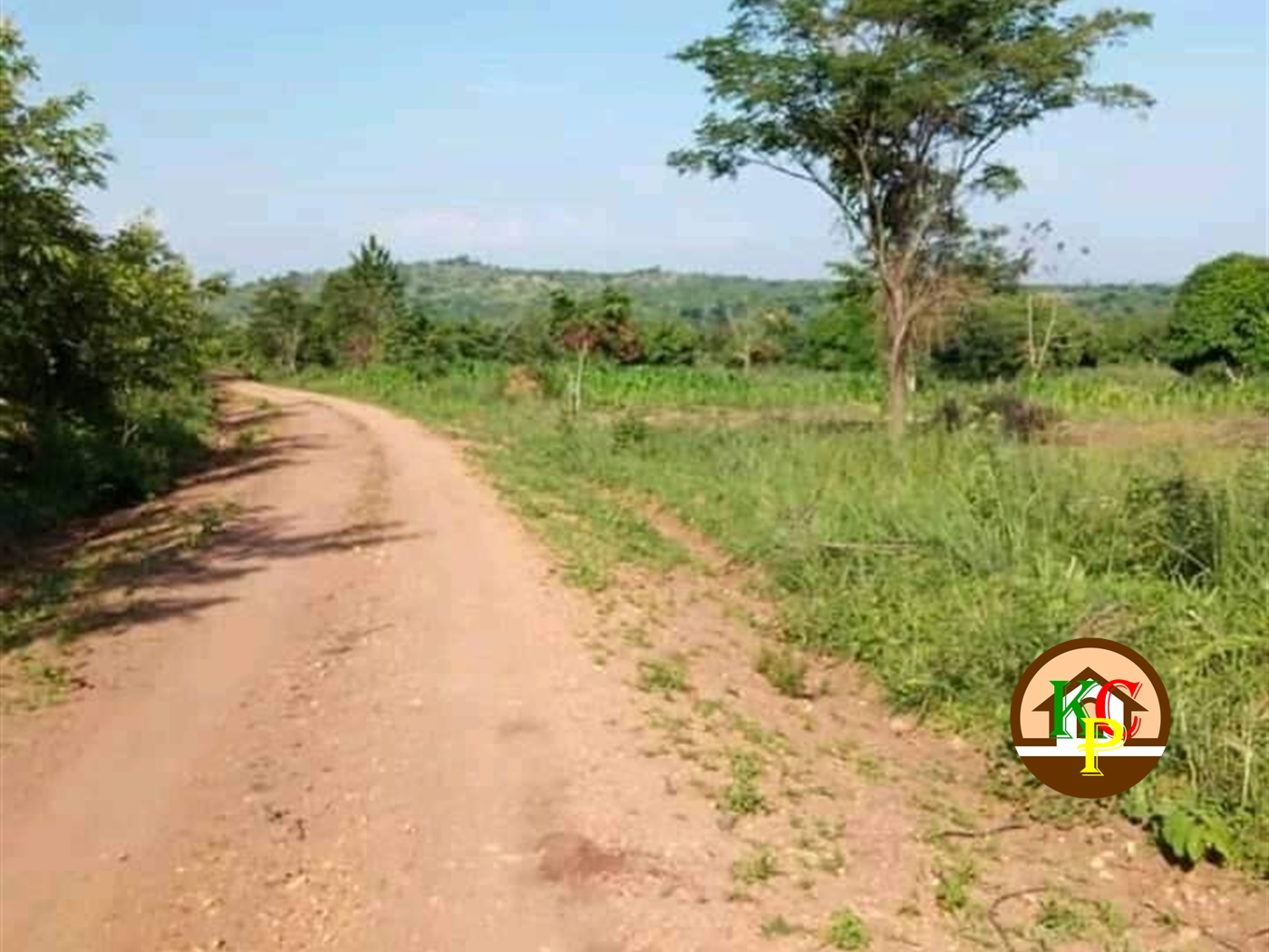 Residential Land for sale in Saasira Nakasongola