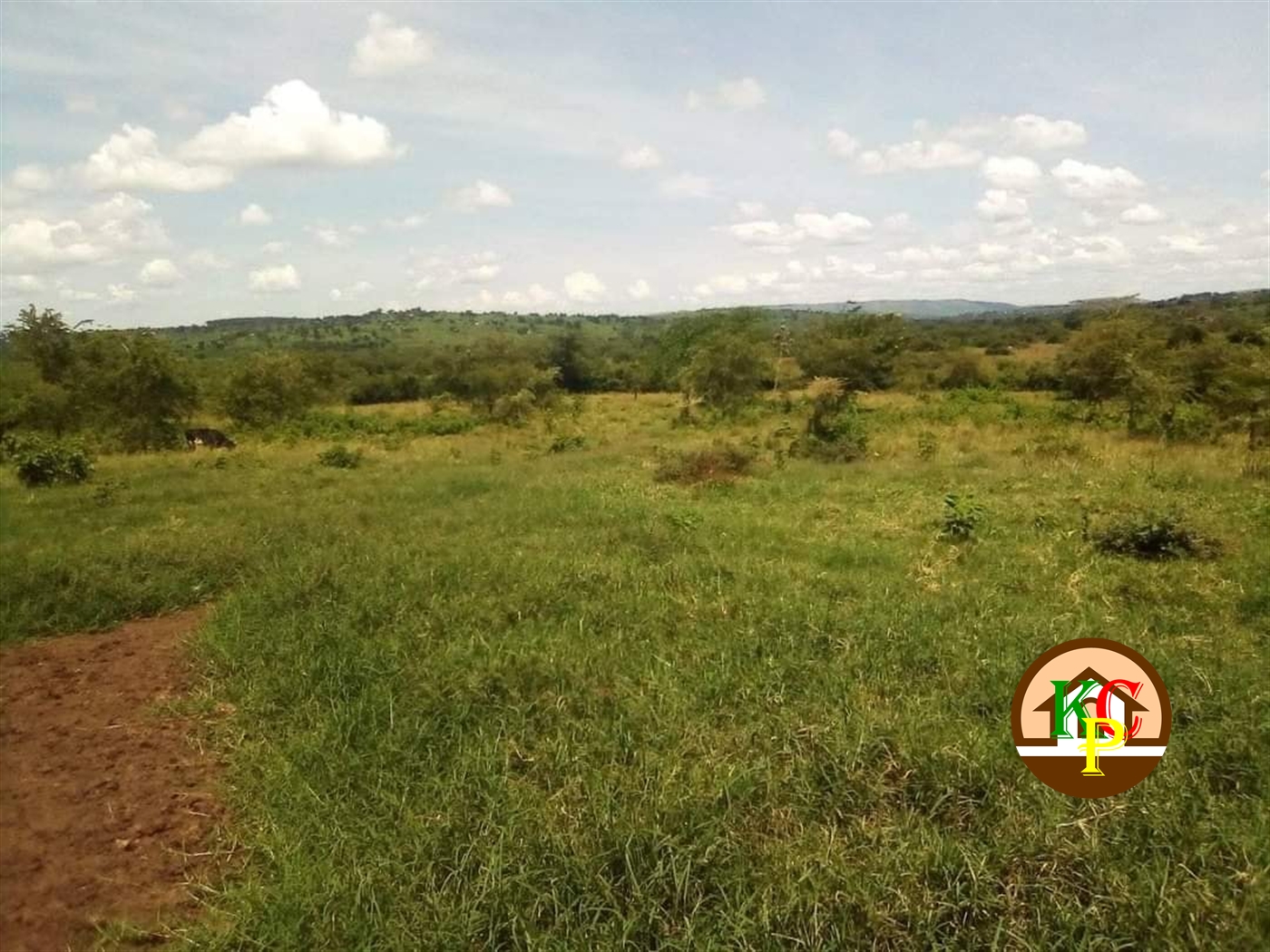 Residential Land for sale in Mateete Sembabule