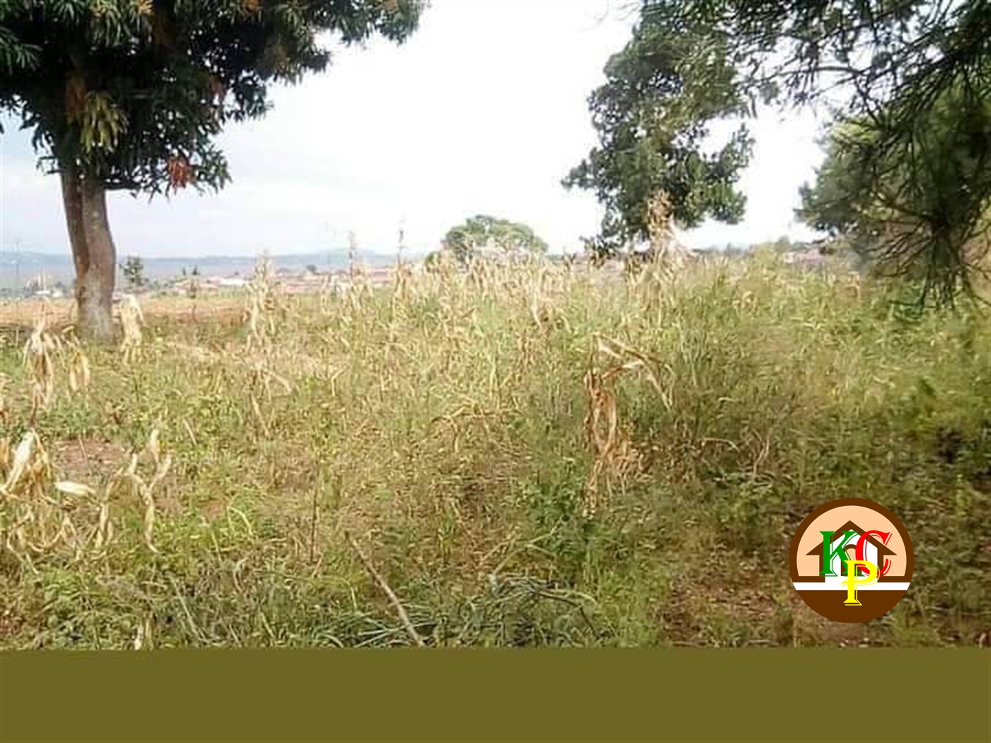 Residential Land for sale in Bweyogerere Wakiso