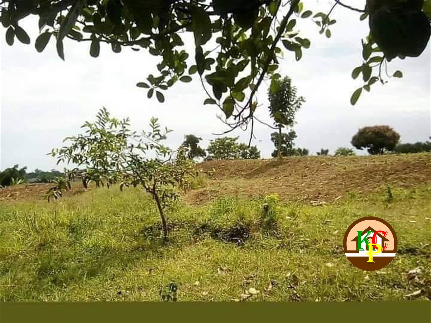 Residential Land for sale in Bweyogerere Wakiso