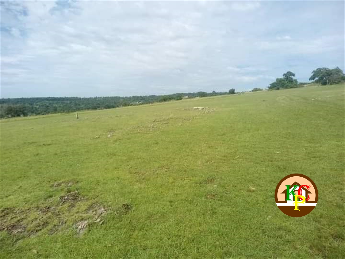 Agricultural Land for sale in Busano Buyikwe