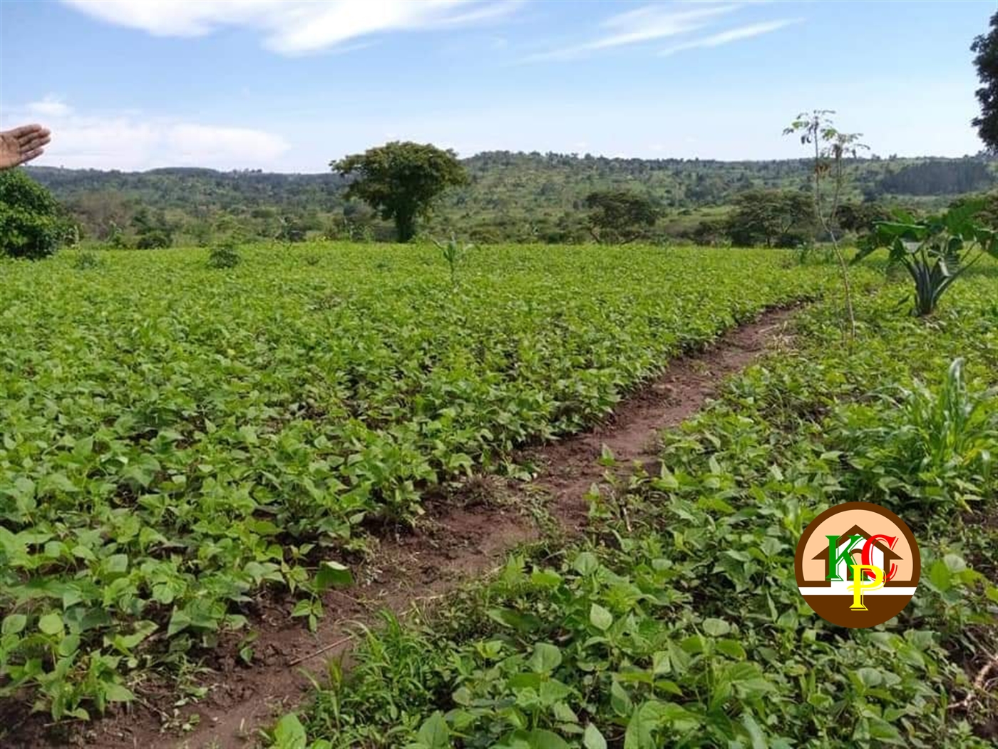 Residential Land for sale in Kyakatebe Mityana