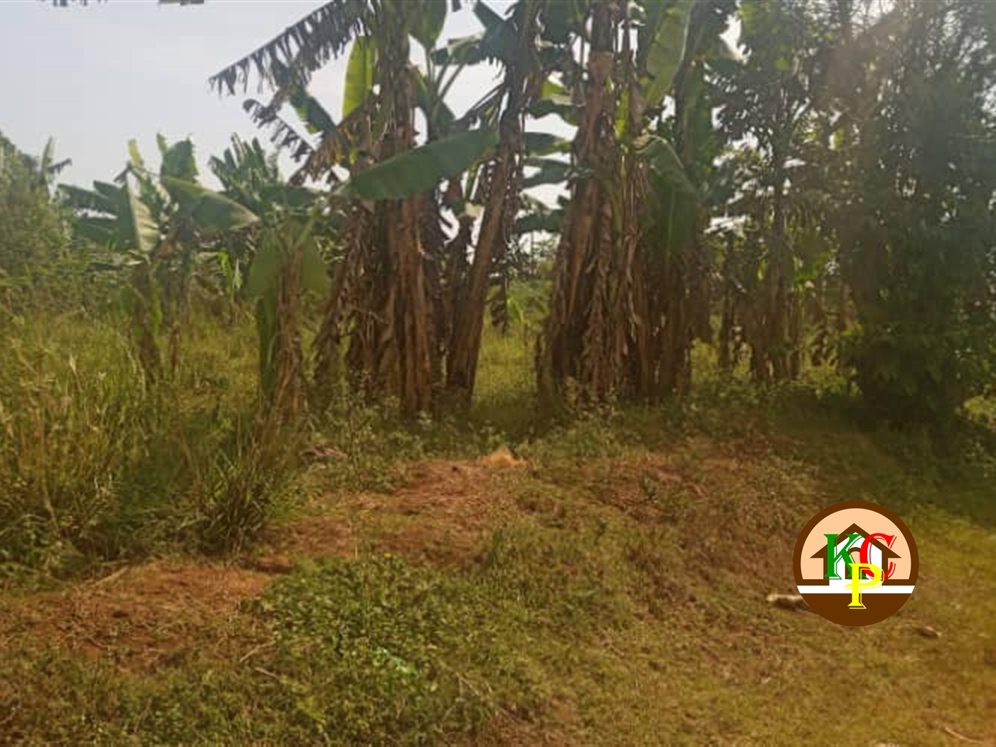 Residential Land for sale in Kira Wakiso