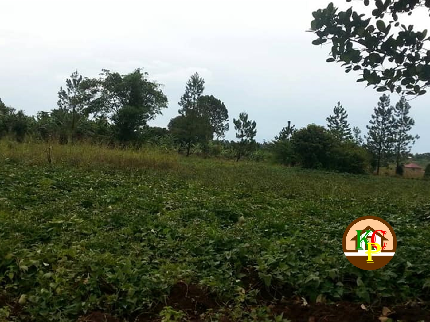 Residential Land for sale in Busiika Wakiso