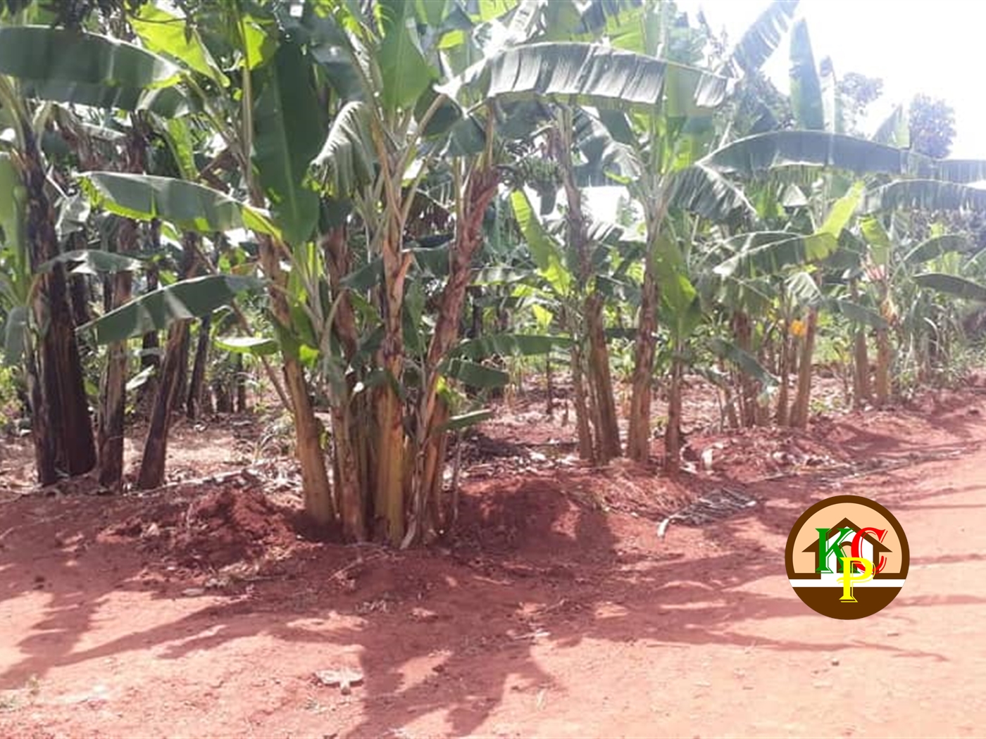 Residential Land for sale in Busiika Wakiso