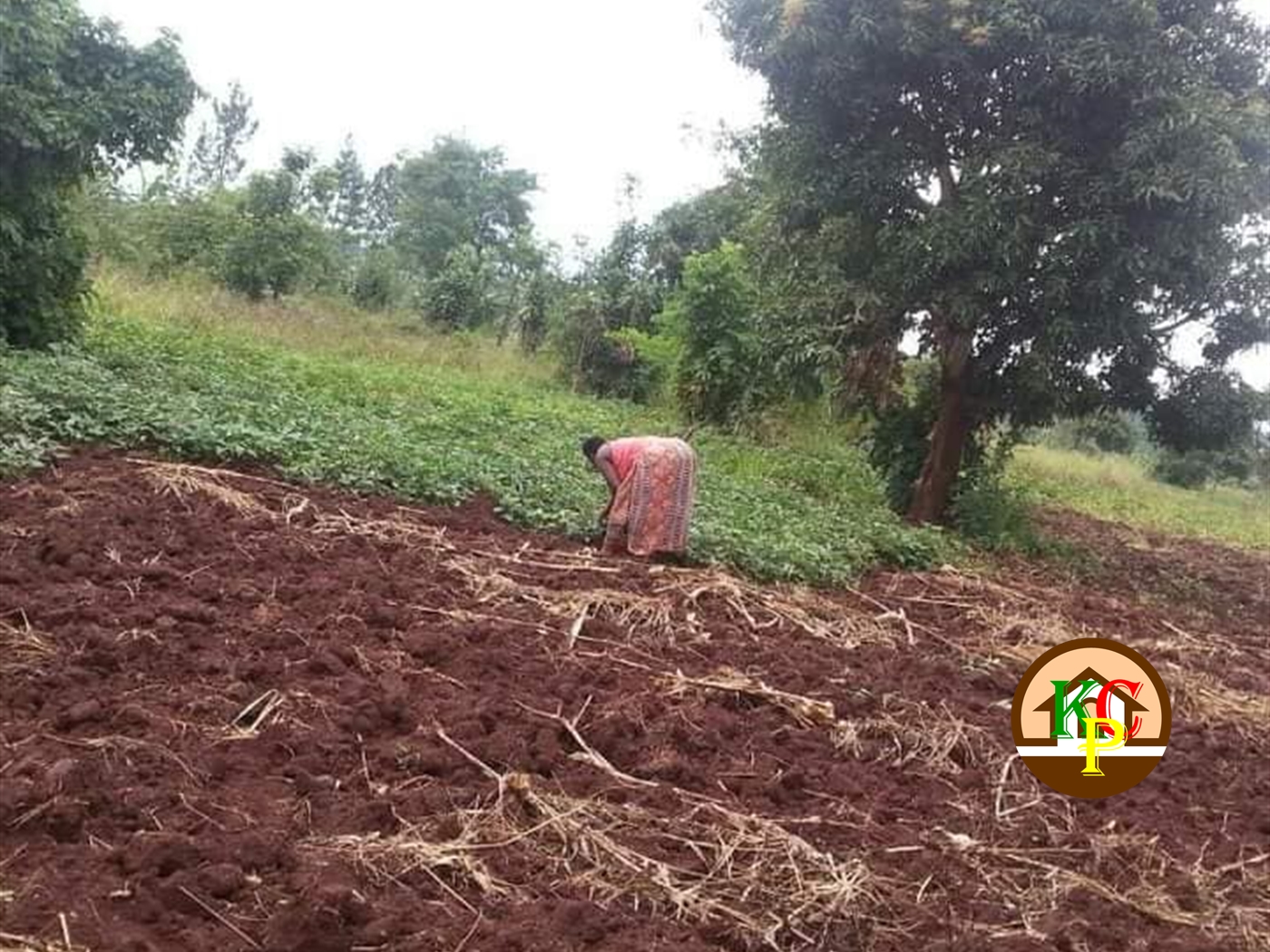 Agricultural Land for sale in Busiika Luweero