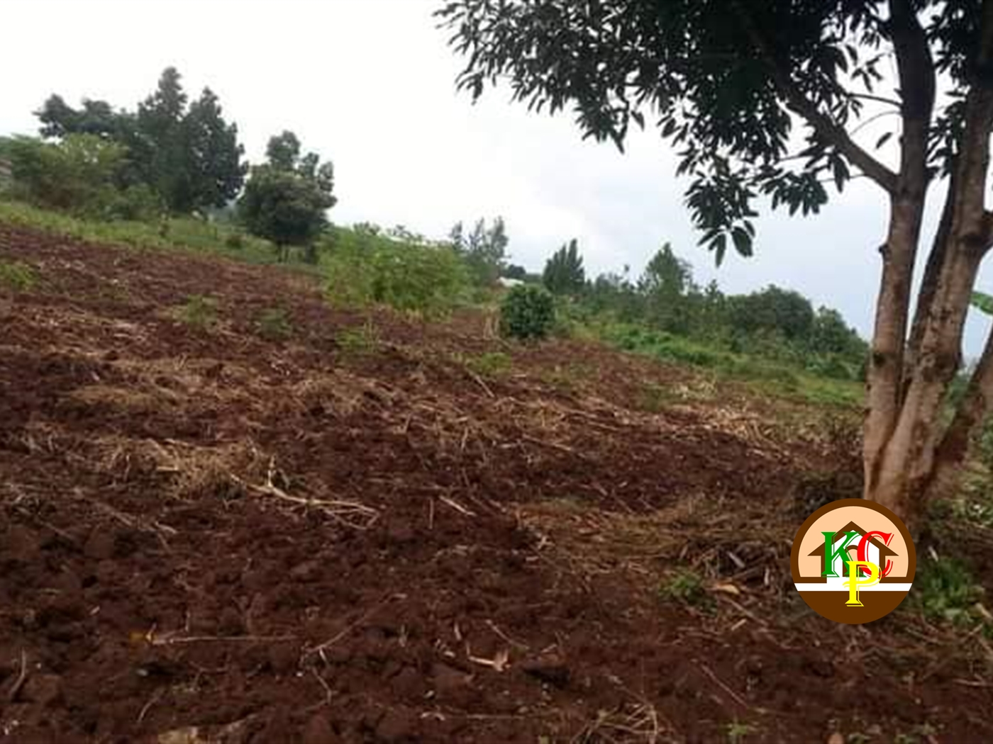 Agricultural Land for sale in Busiika Luweero