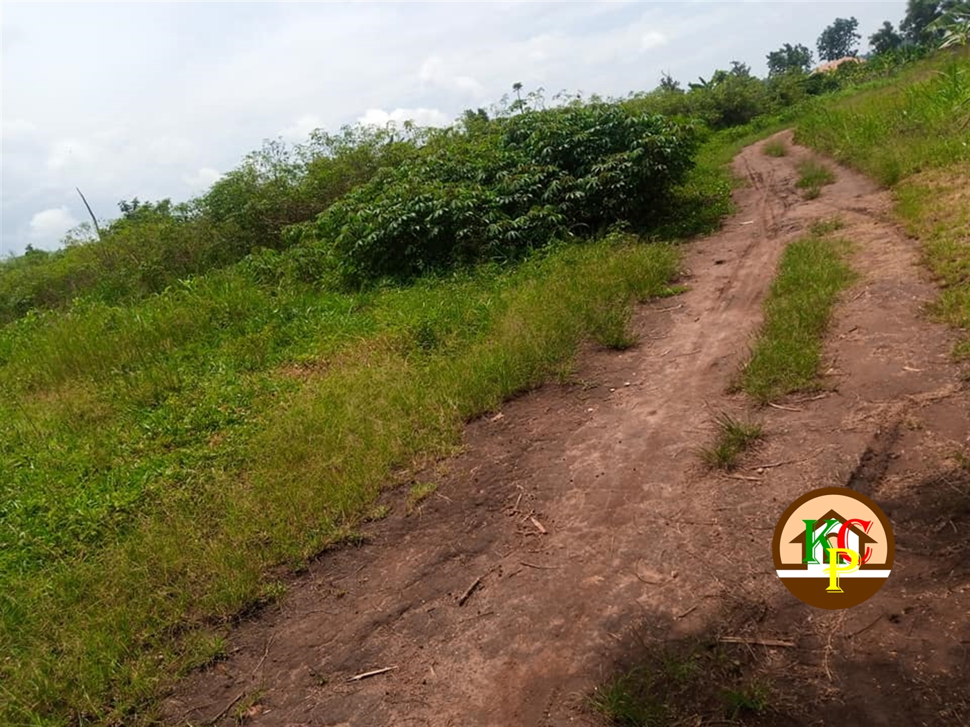 Residential Land for sale in Namulonge Wakiso