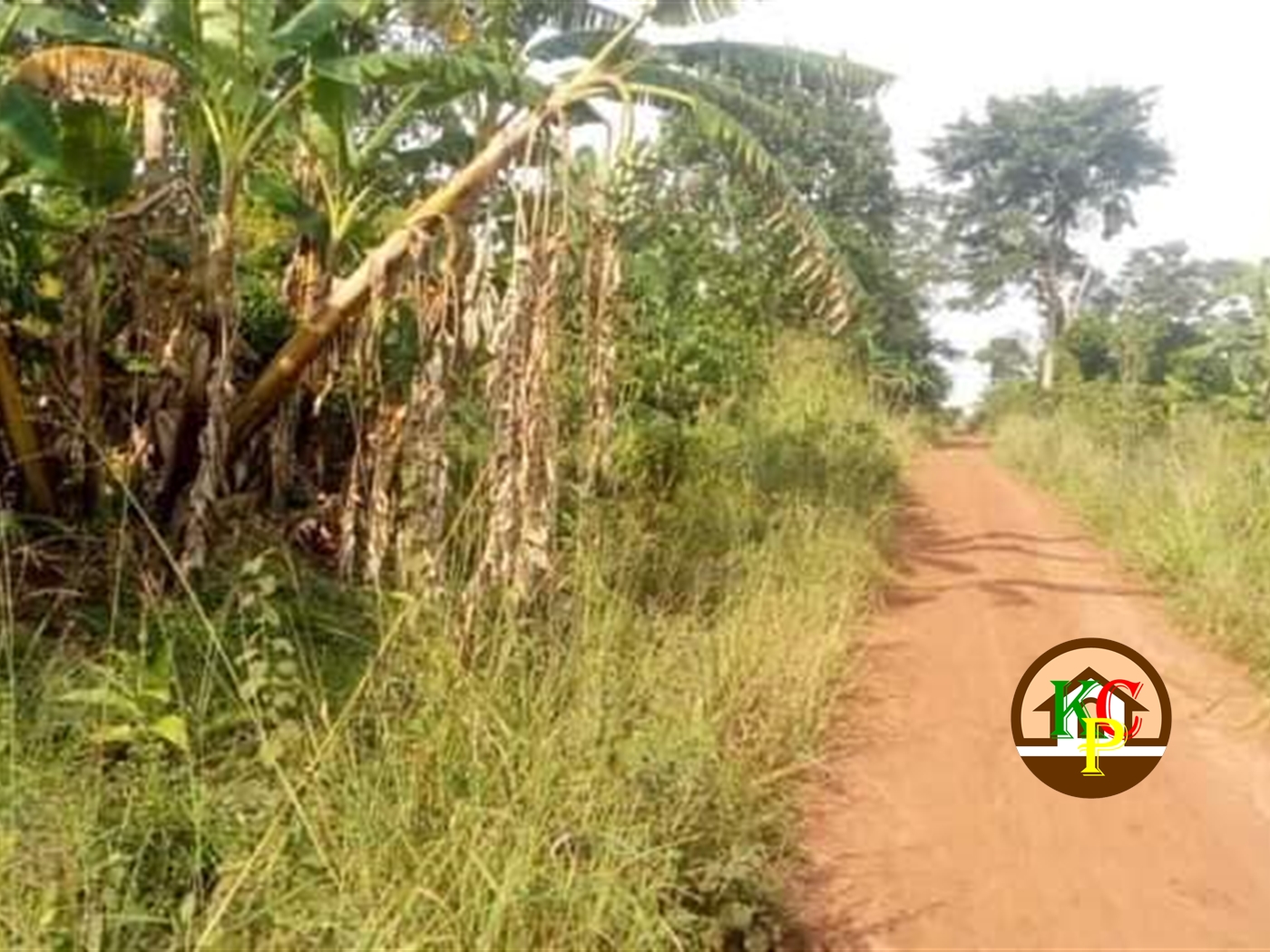 Residential Land for sale in Kikyuusa Luweero