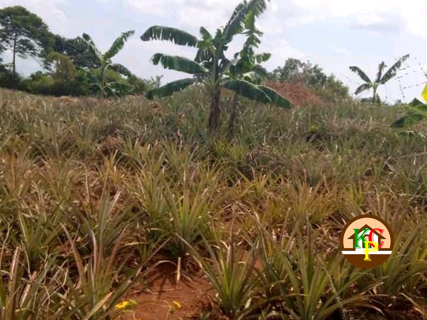 Residential Land for sale in Kawukano Luweero