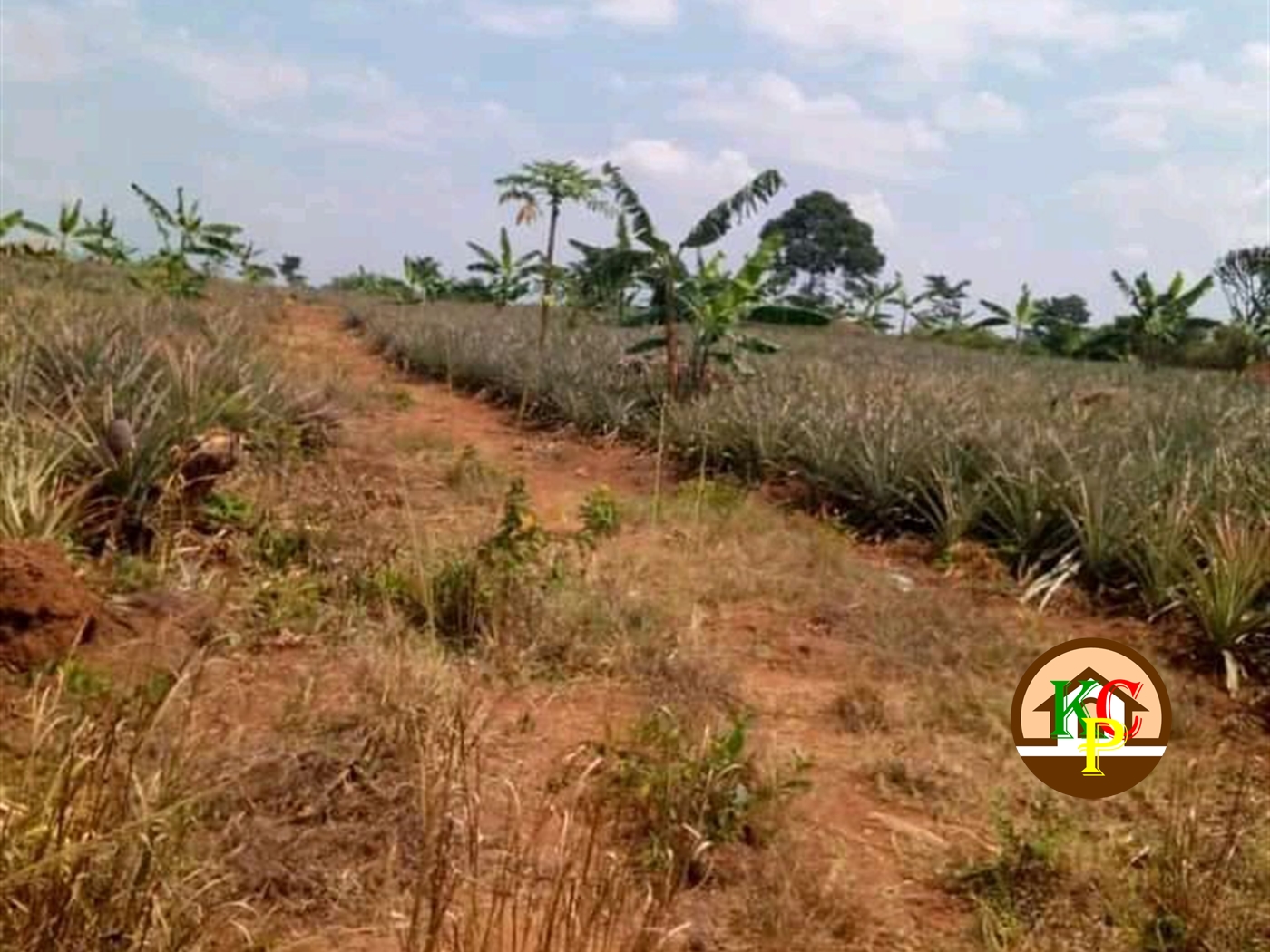 Residential Land for sale in Kawukano Luweero
