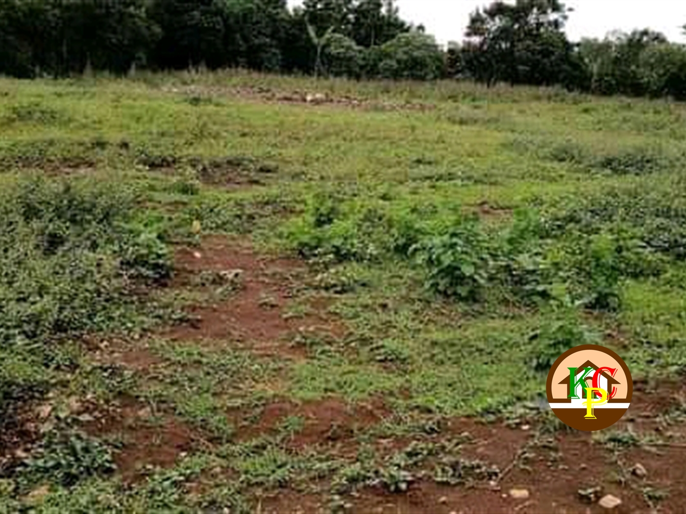 Agricultural Land for sale in Gayaza Wakiso