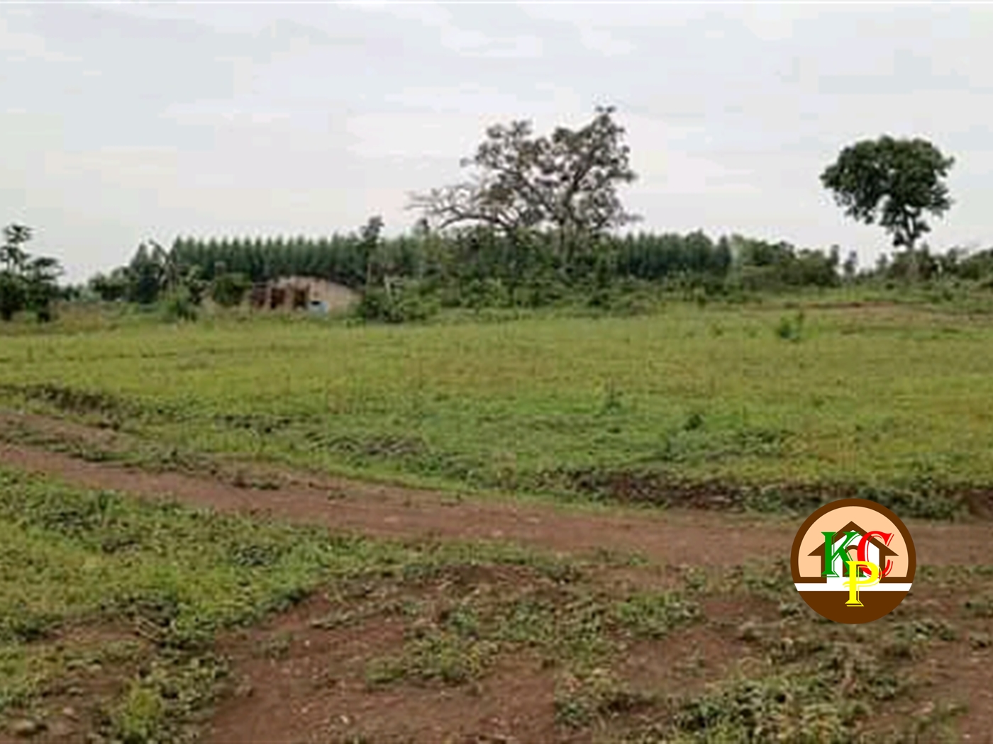 Agricultural Land for sale in Gayaza Wakiso