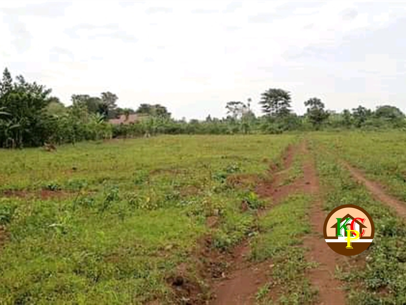 Agricultural Land for sale in Gayaza Wakiso