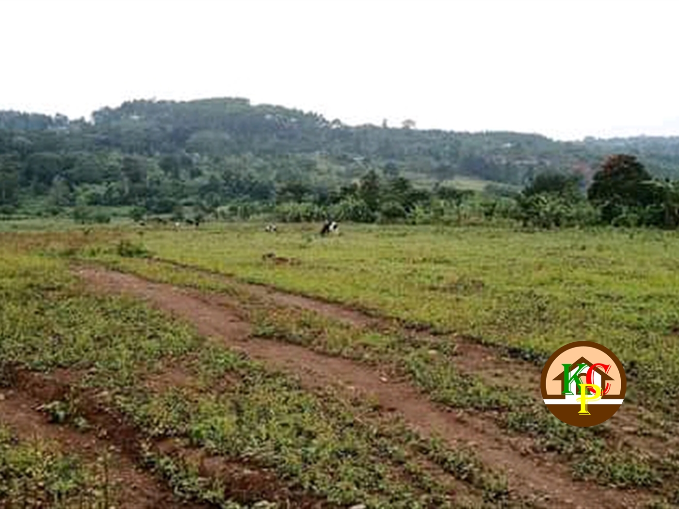 Agricultural Land for sale in Gayaza Wakiso