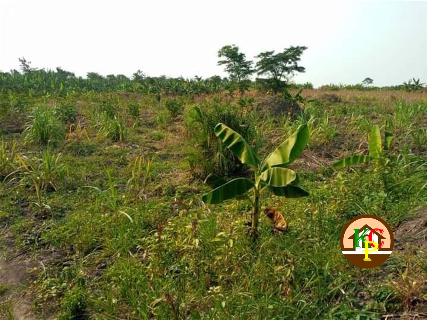 Residential Land for sale in Ziloobwe Luweero